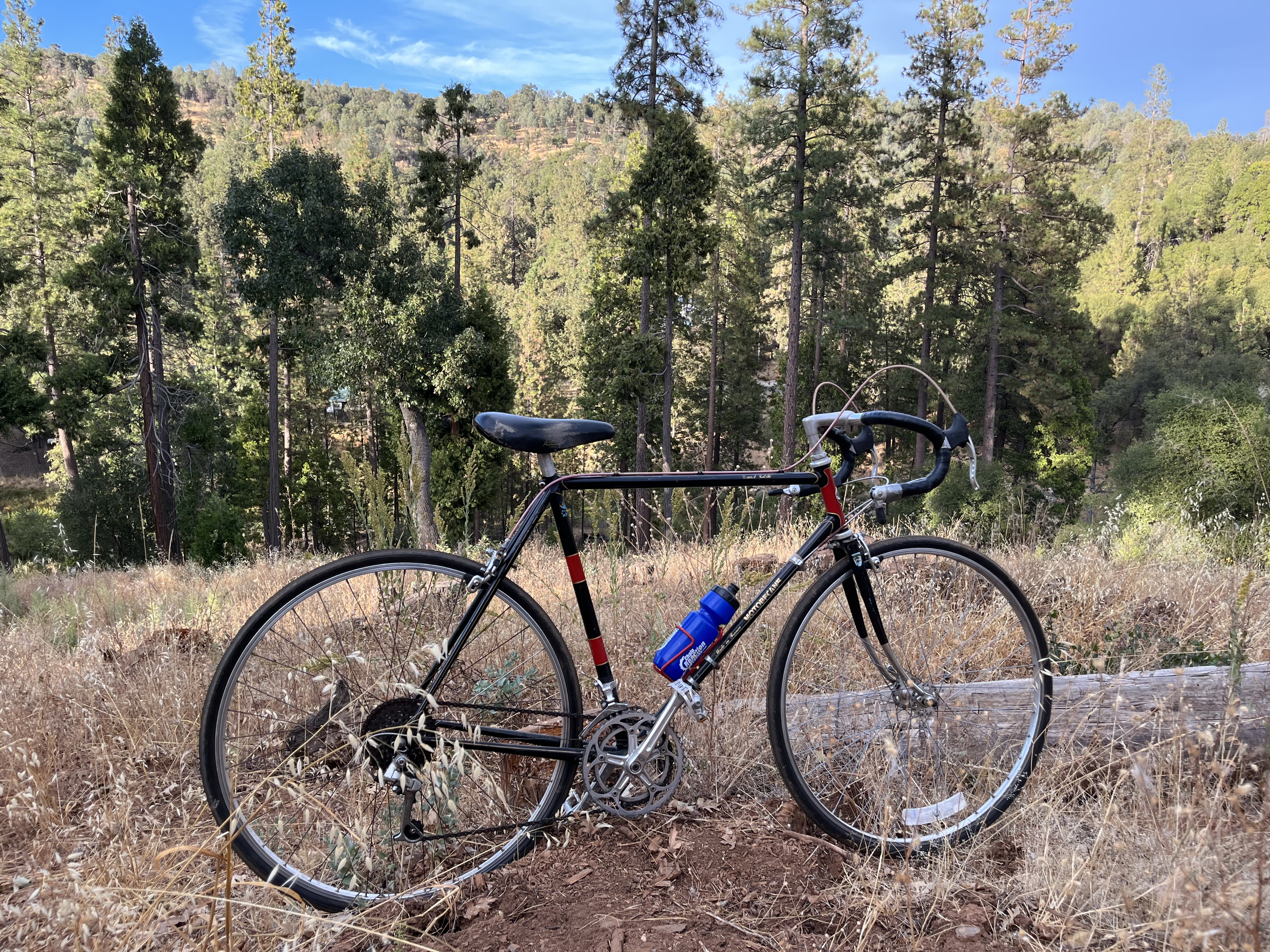 Swb0 SWB0 - Grand Jubile aka the Newbury Watusi | Rat Rod Bikes Bicycle Forum